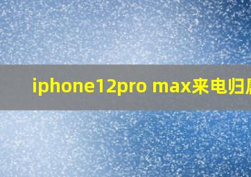 iphone12pro max来电归属地